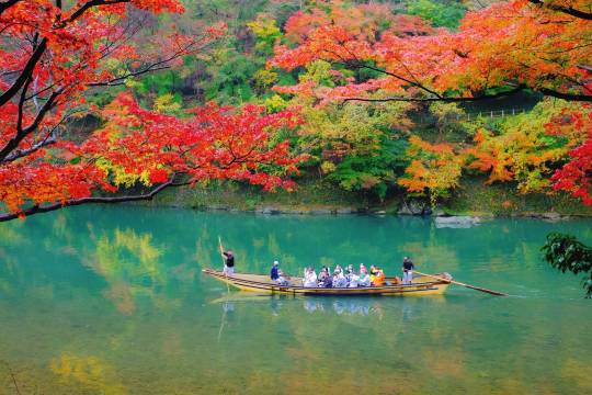 Kyoto Arashiyama & Sanzenin One-Day Tour-Departing from Osaka/Kyoto (Free Japanese 500M virtual data network card eSIM)