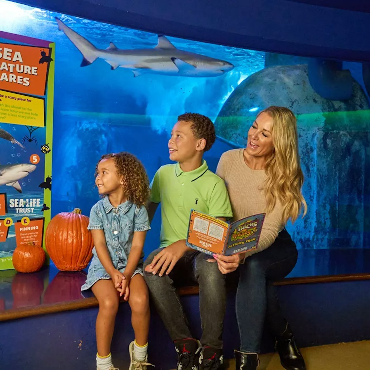 SEA LIFE Aquarium at American Dream: General Admission
