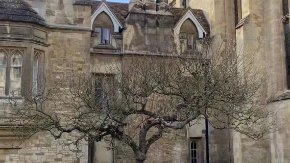 英國倫敦劍橋+格林威治+夜遊泰晤士河一日遊【贈泰晤士遊船票】