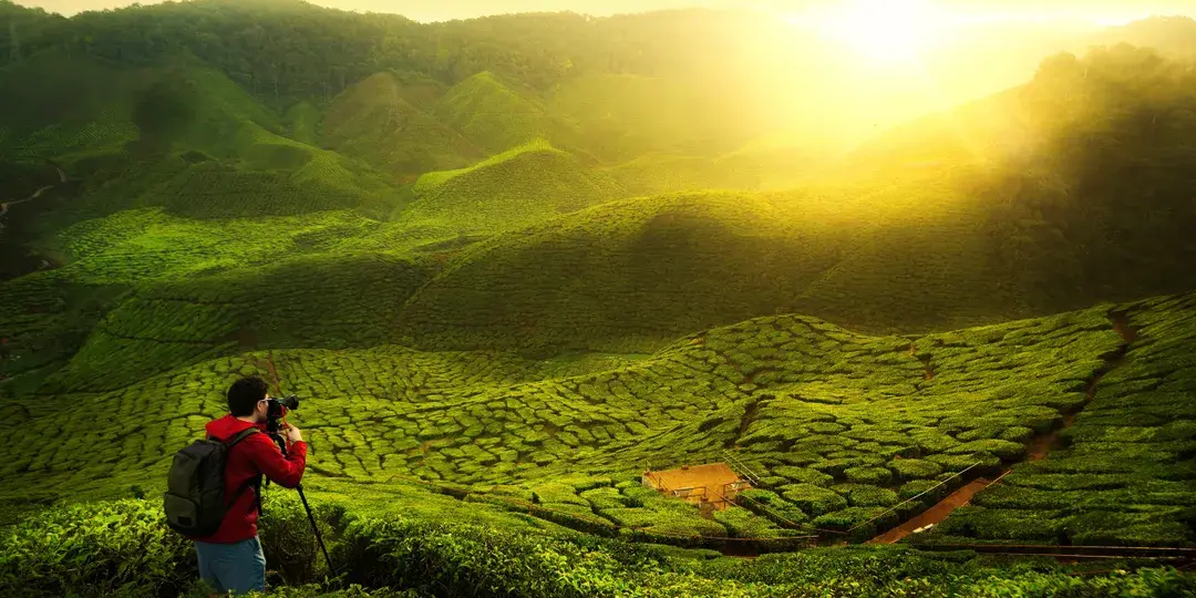 Cameron Highlands Full Day Tour - Share Tour Option