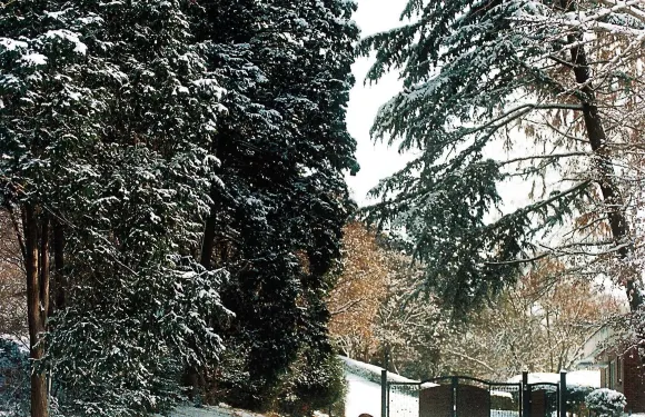 貴港Trip Moments【宣傳片微電影紀錄片/商業攝影攝像跟拍航拍寫真婚紗/翻譯】