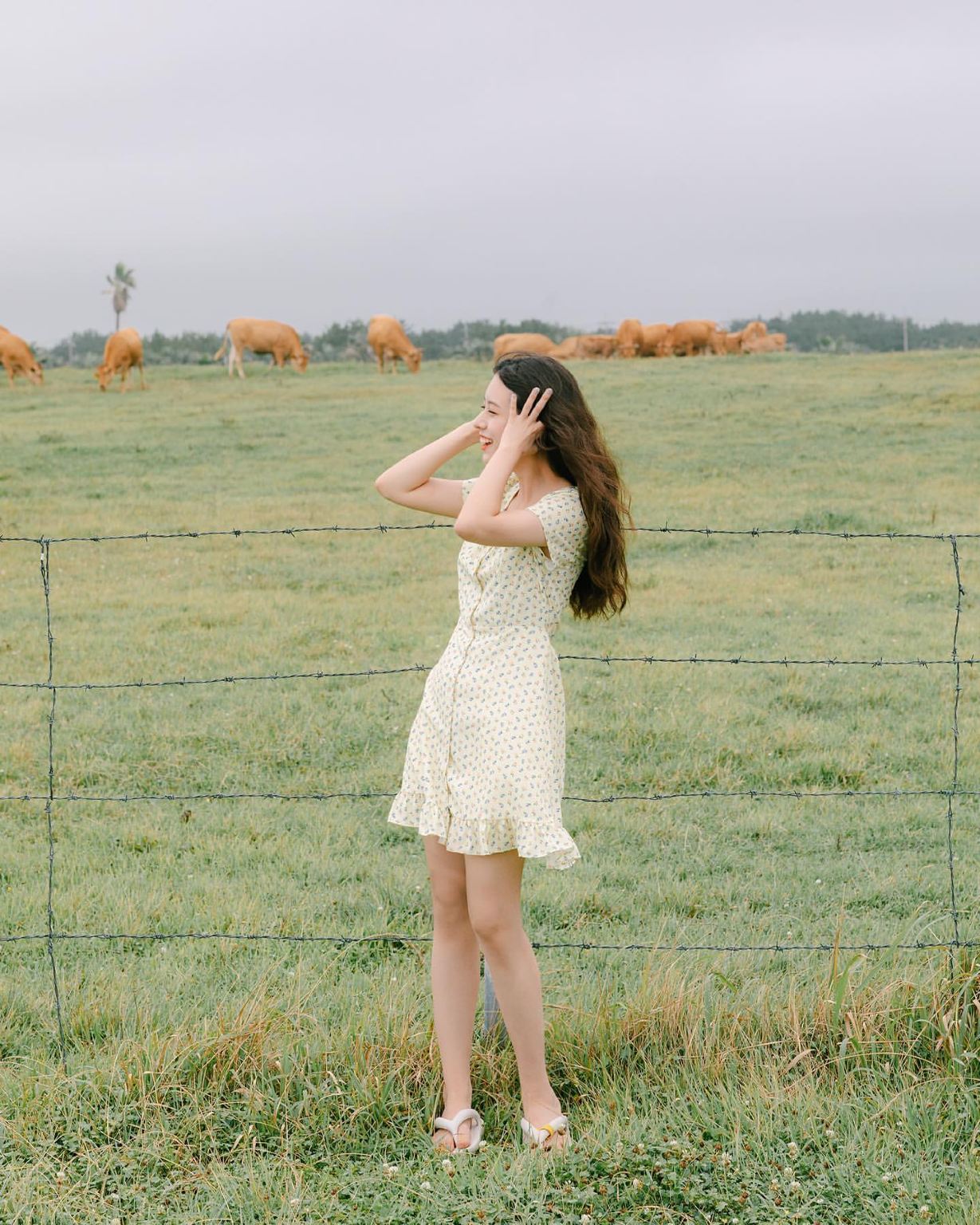 The Hague travel photography in the Netherlands[Driver-guide + travel photography + aerial photography + wedding photography + short film + makeup + costumes + customized private charter + local guide + translation services]