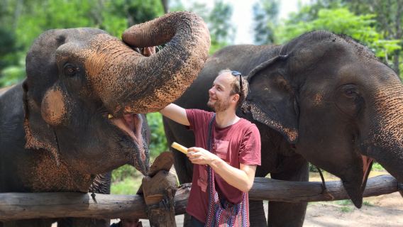 Halbtägige Tour zum Hug Elephant Sanctuary in Chiang Mai