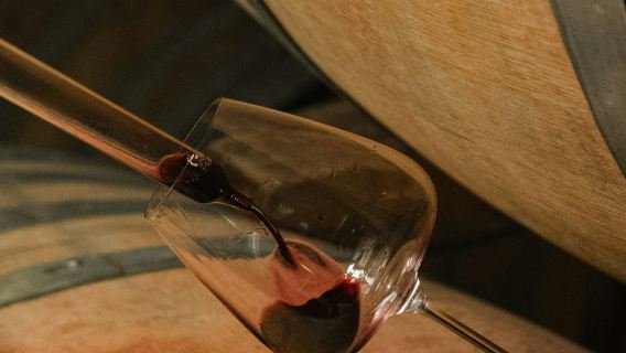 Tenuta Corte Pavone: tour del Brunello nel backstage + degustazione gourmet