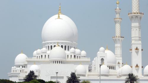 From Dubai Shared Tour: Abu Dhabi Seaworld & Grand Mosque Tour Day Tours 4