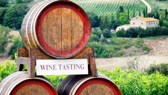 Chianti Vineyard and Castle Tour with Wine Tasting