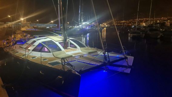 Tenerife: 3-Hour Whale & Dolphin Watching Catamaran Tour with Catering