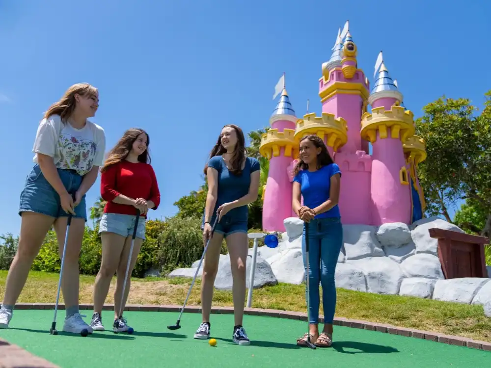 Boomers Livermore: Unlimited Day Pass