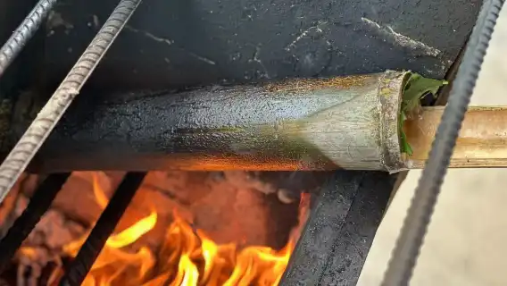 桂林：陽朔飯店出發龍脊梯田日遊