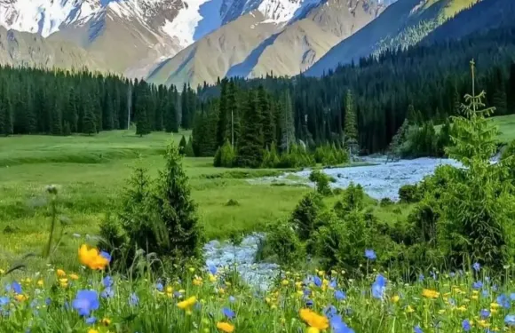 從盧加諾到雪域：阿爾卑斯山脈・鐵力士山・雪地樂園全景