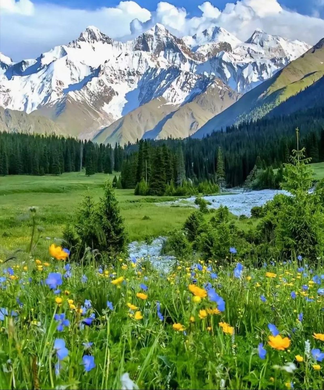 從盧加諾到雪域：阿爾卑斯山脈・鐵力士山・雪地樂園全景