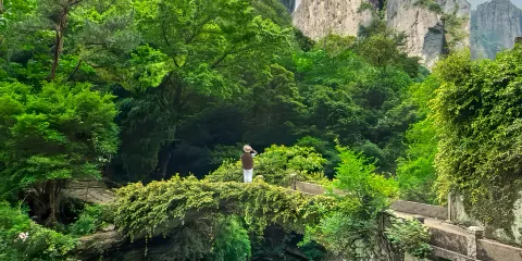 打卡仙俠取景地·雁蕩山+大龍湫·三折瀑+靈峰+方洞包車1日遊