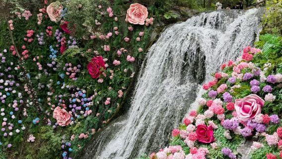 【南陽起止】重渡溝+花海瀑布+綠野仙蹤1日遊