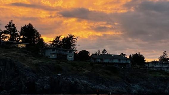 Oak Bay: Pengalaman Mendayung di Bulan Purnama