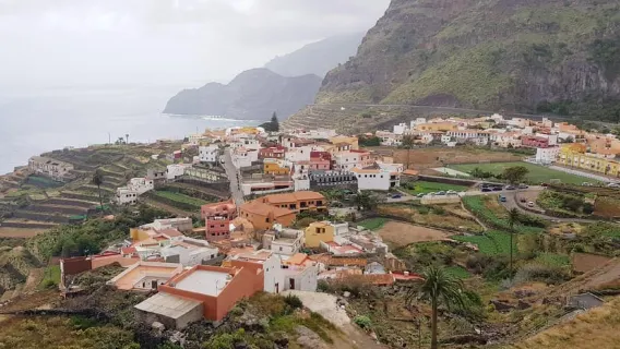 Dal sud di Tenerife: escursione di un giorno intero a La Gomera