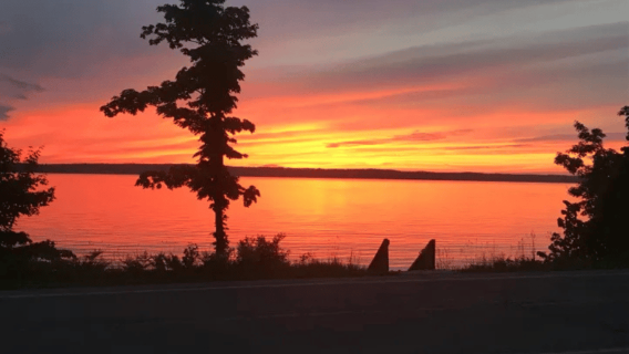 Traverse City: Old Mission Peninsula 4-Hour Sunset Wine Tour