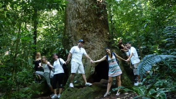 Río: recorrido por el circuito del bosque de Tijuca y las cataratas de Horto