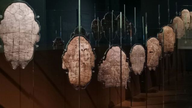 [Termasuk tiket masuk] Muzium Yinxu Henan (Bangunan Baharu) Perkhidmatan panduan peribadi VIP oleh pakar sejarah dan budaya