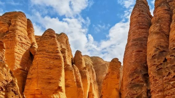 黃河石林+水墨丹霞一日遊【獨立成團】
