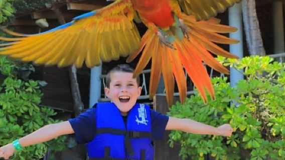 Puerto Vallarta: esperienza nel rifugio sulla spiaggia di Las Caletas