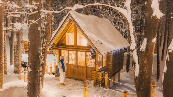Hokkaido + zoo di Asahiyama + terrazza degli spiriti della foresta + Stagno Blu tour di un giorno|Tour privato per 9 persone