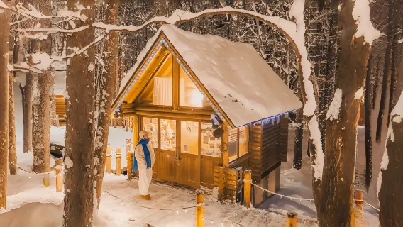 Excursión de un día a Hokkaido + Zoológico de Asahiyama + Terraza de los Duendes del Bosque + Estanque Azul|Opcional para grupos pequeños de 9 personas