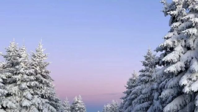 雪嶺或老里克湖一日遊