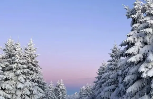 雪嶺或老里克湖一日遊