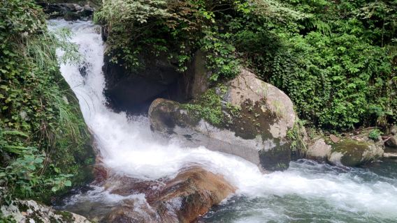 1-day tour to Emperor Yan Mausoleum in Zhuzhou and Shen Nong Gu National Forest Park in Yanling County with English service available