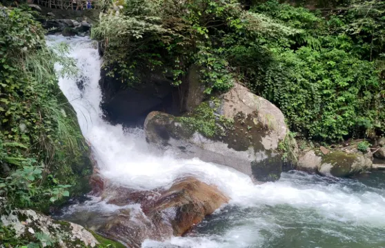 湖南株洲炎帝陵+炎陵縣神農谷國家森林公園一日遊可中英文服務
