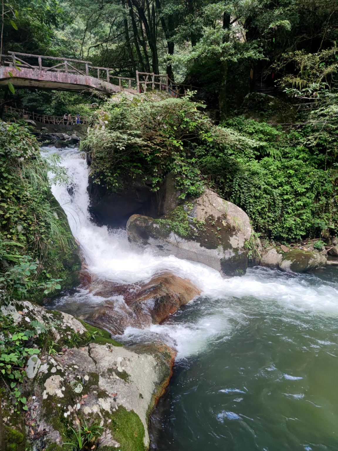 Tour di un giorno al Mausoleo di Yanling e al Parco Nazionale della Valle di Shennong a Zhuzhou, Hunan con servizio in inglese disponibile