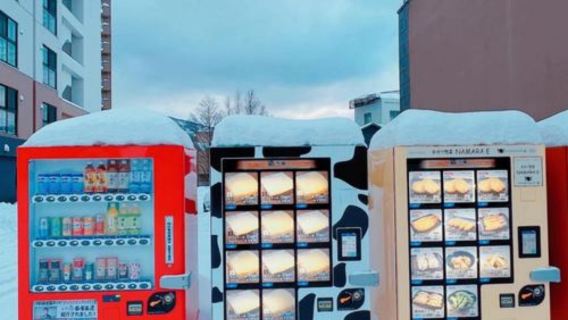 Japan Otaru/Asahikawa/Biei/Furano/Lake Tōya/Noboribetsu - Sapporo round-trip one-day tour