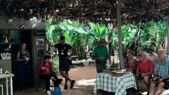 Tenerife: tour delle piantagioni di banane e delle cantine vinicole + degustazione di vini
