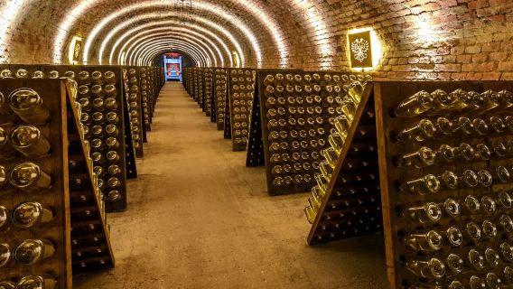 Schlumberger Cellar World: biglietto d'ingresso + degustazione facoltativa