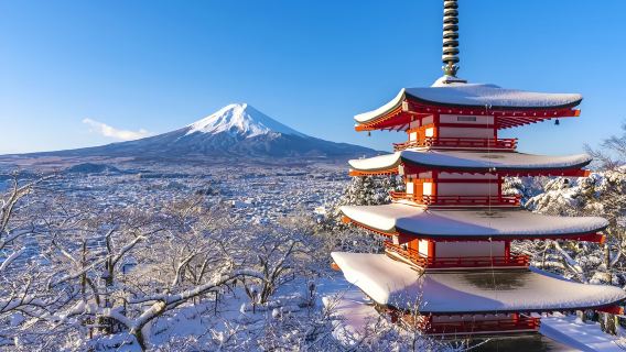 富士山全景一日遊：山中湖+河口湖+忍野八海+羅森+日川時計店
