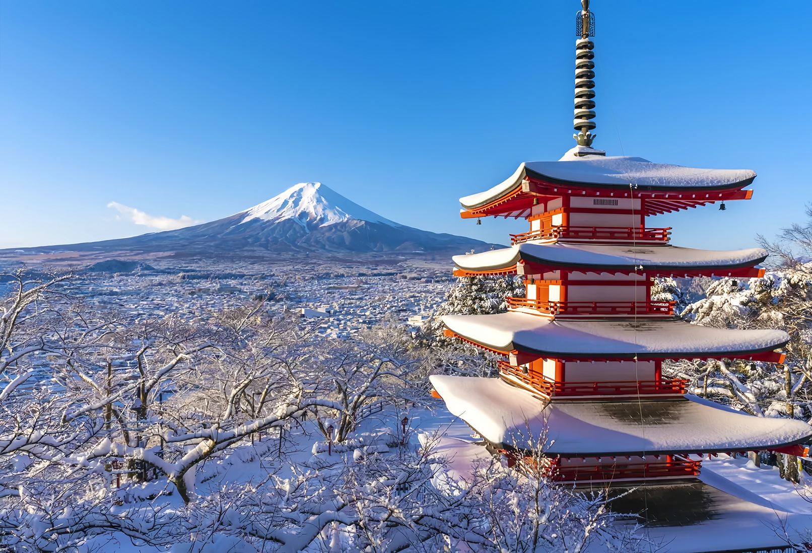 Japan Tokyo Mt. Fuji Lake Kawaguchi & Yamanakako & Lawson/Hikkawa one-day tour|Internet celebrity panoramic check-in