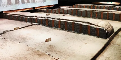 陝西西安城牆+世博園+大明宮國家遺址公園包車一日遊中英文服務