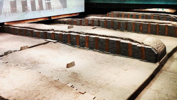 Een eendaagse tour gecharterde autovervoer de stadsmuur van Xi'an, de tuin van de Wereldtuintentoonstelling en het nationale erfgoedpark Daming Palace in de provincie Shaanxi, met Engelstalige service beschikbaar.