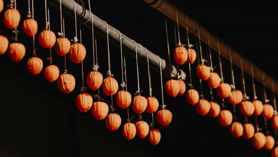 Nagoya Magome & Tsumago-juku & Ena Kyo Observation Deck & Inuyama Castle 1-day tour|Group option for up to 9 people