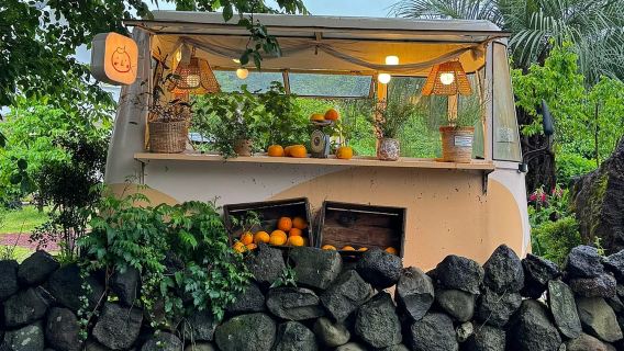 Lawatan Sehari Laluan Barat Daya C Jeju | Termasuk Tiket Masuk | Gunung Halla | Menjejaki Lumba-lumba | Zon Keratan Berbentuk Tiang
