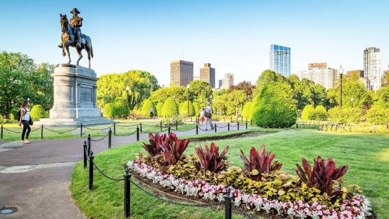 Classic Film and Television Locations Half Day Tour in Boston