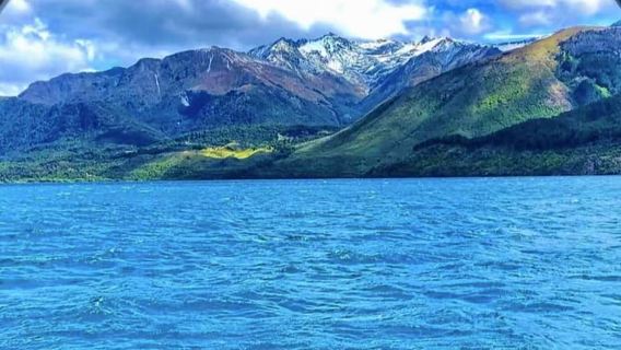 Christchurch to Kaikoura round-trip whale watching tour with private charter service, exploring both North and South Islands with Chinese-speaking guide.