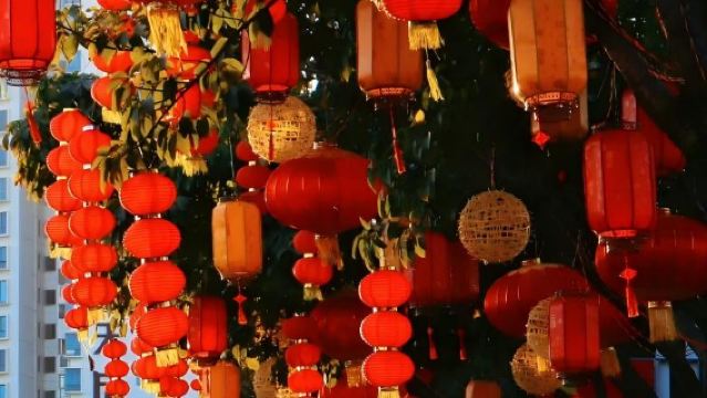 Lawatan setengah hari 4 jam dengan sewaan peribadi di Haitan Island of Pingtan|Pengambilan di seluruh pulang + pusingan pantas + pengalaman pilihan laluan utara-selatan