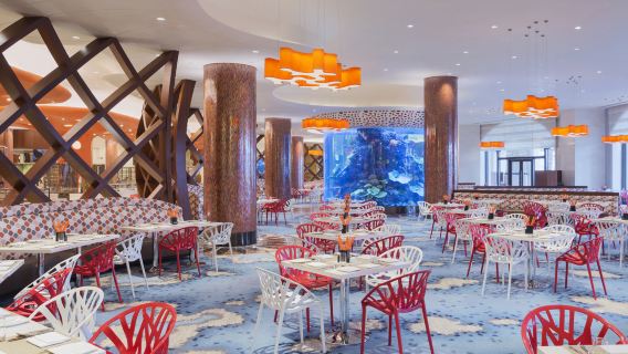 Buono pasto famiglia (2 adulti + 1 bambino) per il buffet con delfini al Chimelong Ocean Kingdom Hotel di Zhuhai (colazione/pranzo/cena)