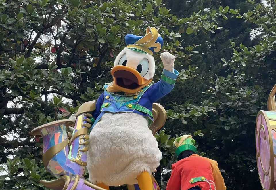 Hong Kong Disneyland Local Guide and Private Charter Transfer Services in China