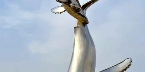 煙台孤獨的鯨+芝罘島+煙台山+第一海水浴場一日遊-中英文服務