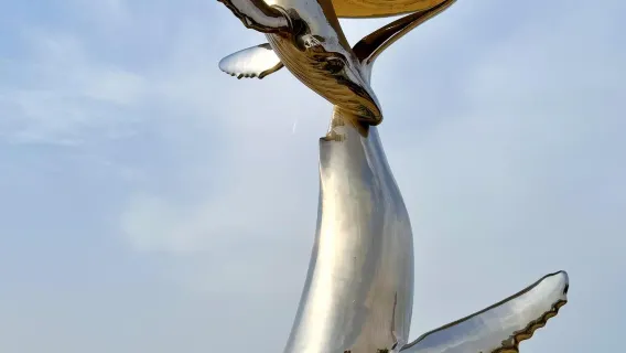 1-day tour to Yantai Golden Beach lonely whale, Yantai Mountain and First Sea Bathing Beach - Chinese and English service