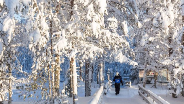 Meneroka Hutan Salji Lapland Finland [Tur Bahasa Cina | Pergi-balik dari Rovaniemi]
