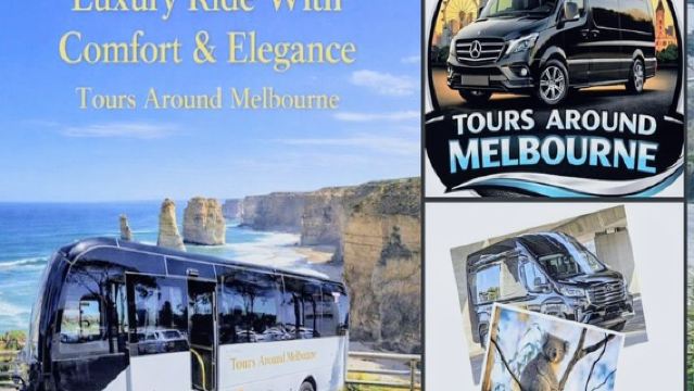 Great Ocean Road Tour Reverse –SML GRP-DLUX Mini Bus Hotel Pickup