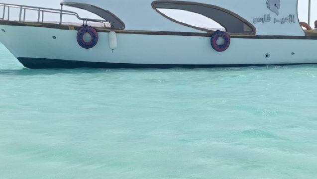 Excursion privée en bateau à vitres à Hurghada